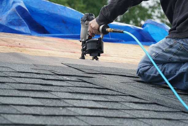 Steel Roofing in Sierra Ridge, CO